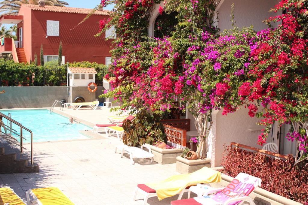 Apartamentos Casablanca ปลายา เดล อิงเกลส ภายนอก รูปภาพ